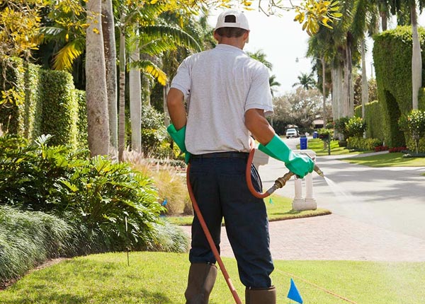 About Brisbane CA Pest Control Pros
